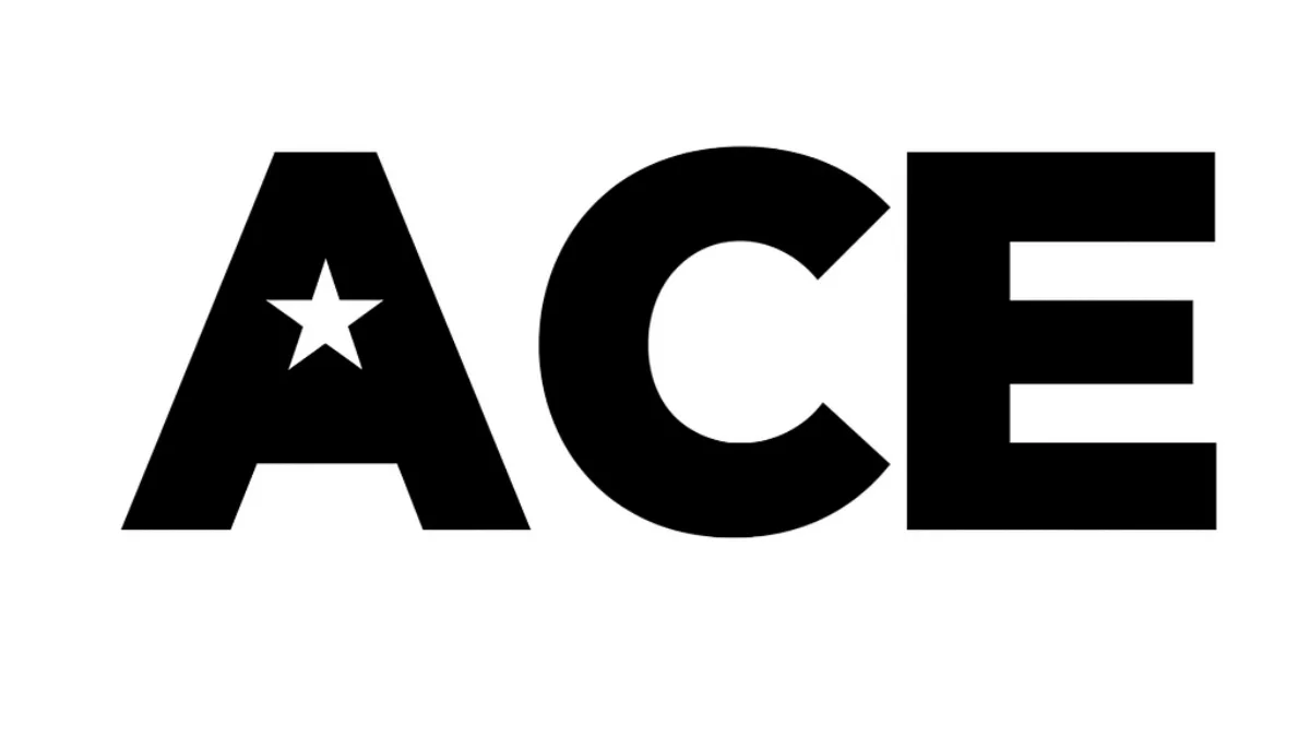 ACE Remodeling TX