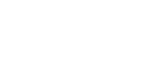 ACE_FULL_LOGO
